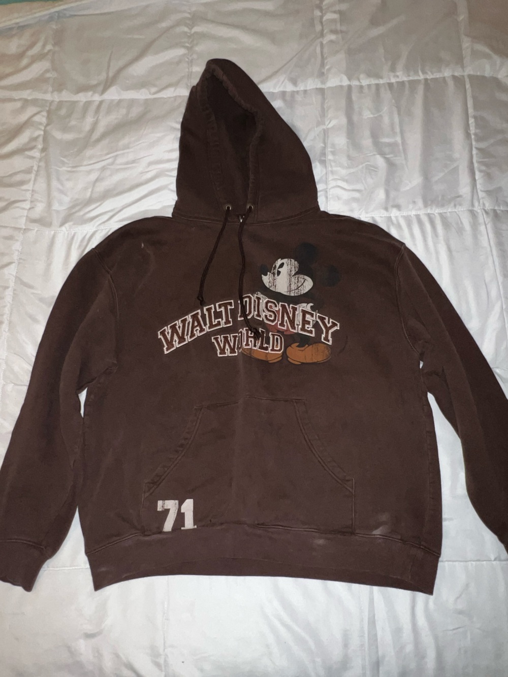 Retro Disney Hoodie with Walt Disney World Graphic